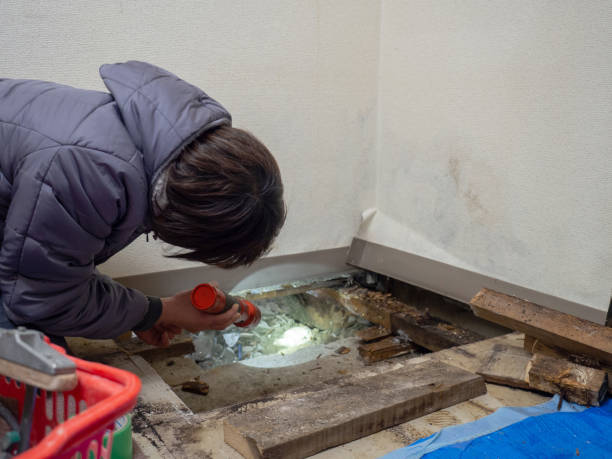 Best Post-Remediation Verification Testing  in Ozona, TX
