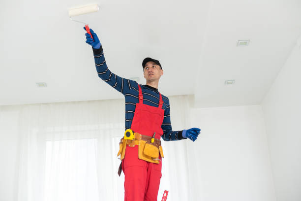 Mold Remediation for Vacation Homes in Ozona, TX