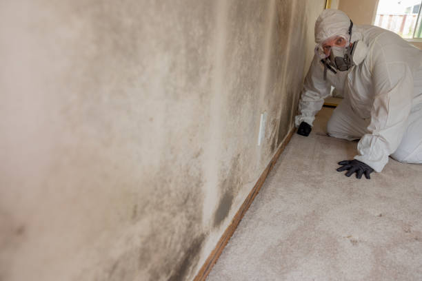 Best Indoor Air Quality Assessment  in Ozona, TX