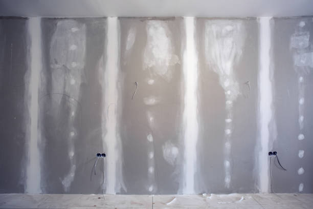 Best Biohazard Mold Removal  in Ozona, TX